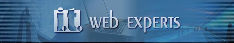 Web Design Services